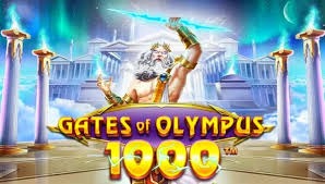 Kisah Sukses Di Balik Keberhasilan Olympus 1000
